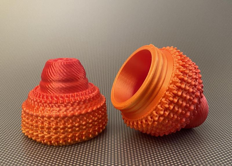 4v60 Vault (organelle)