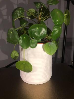 Modern planter NR_TYf92