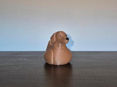Golden Retriever Duck