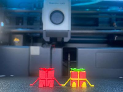 Mini Present Buddy NO SUPPORTS Low Filament Cost
