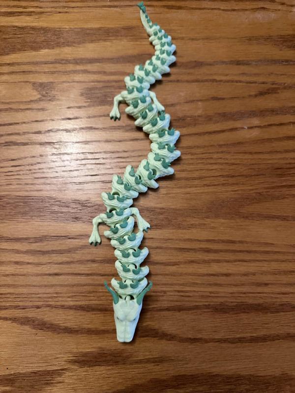 Articulated Dragon