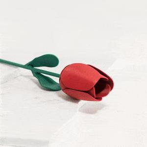 TULIP – Mechanised Articulated Flower