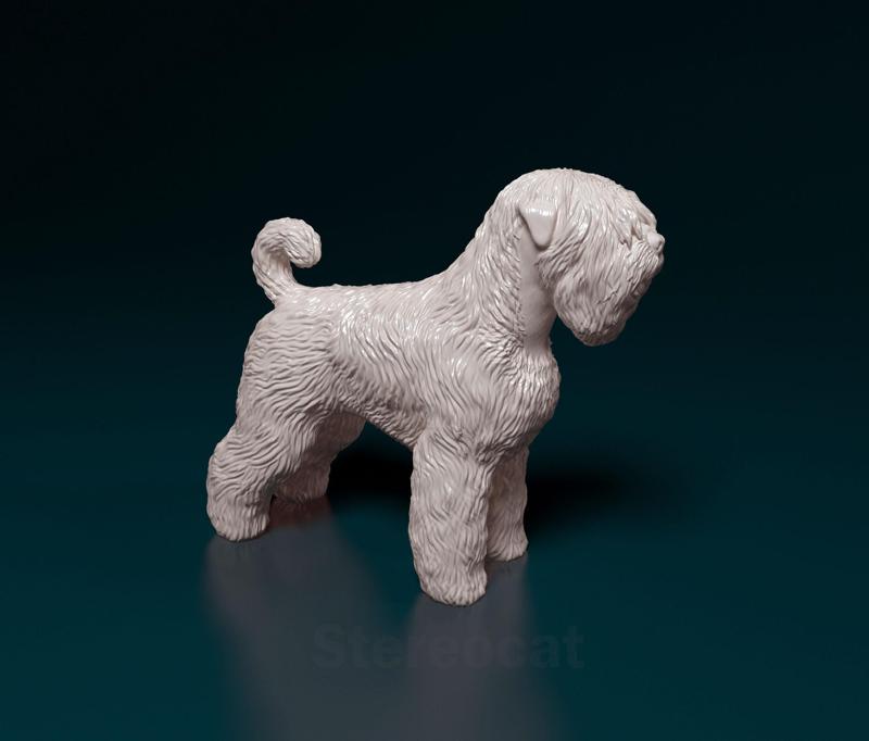 Black russian terrier