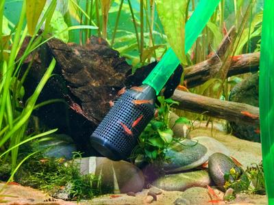 Aquarium Siphon Shrimp Guard for 12/16 & 16/22