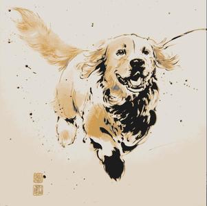 Golden Retriver running ( Hueforge)