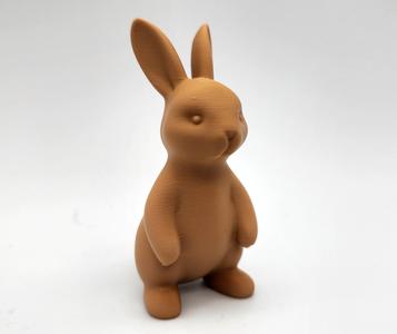 Standing Bunny