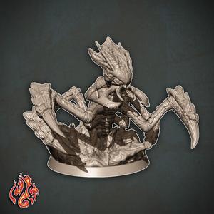 Ankheg Warrior 2