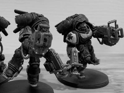 Unsupported version of Primaris Inceptors