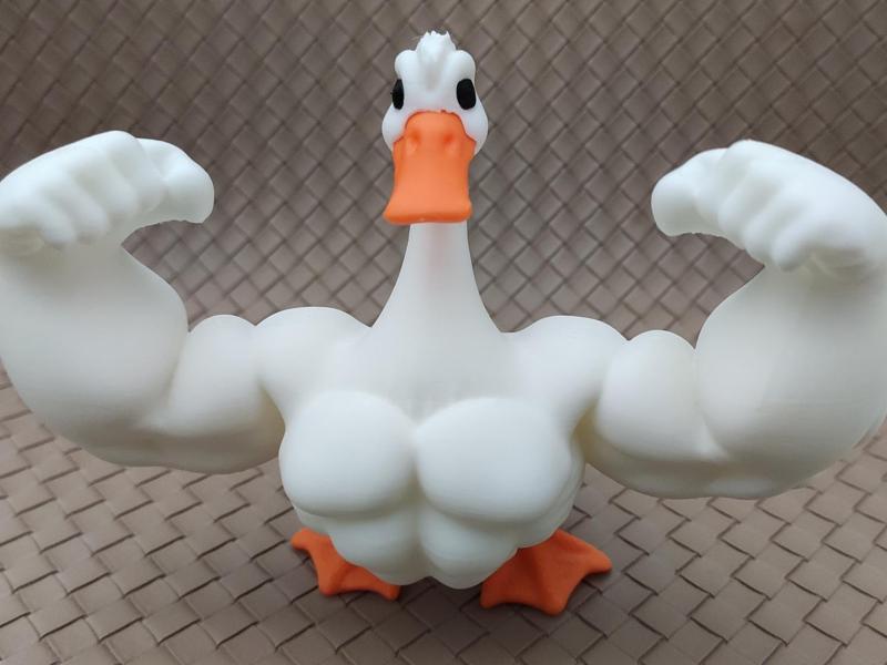 Goose on Steroids - multipart - noAMS - noGlue