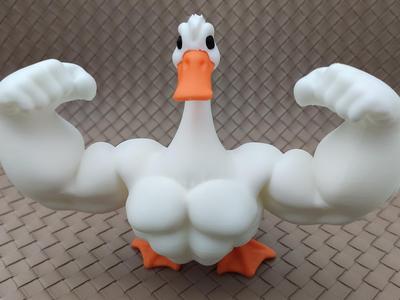 Goose on Steroids - multipart - noAMS - noGlue