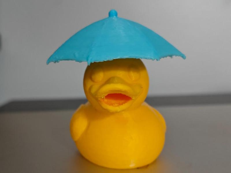 Duck with Umbrella