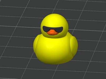 Sunglass duck