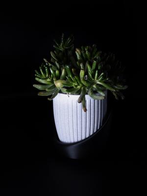 Doric Flower Vase Planter by JDL