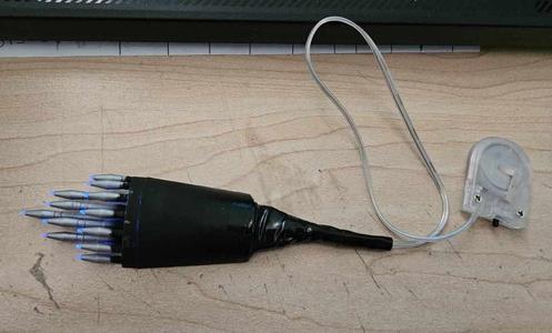 Lighting Components for Whistling Birds