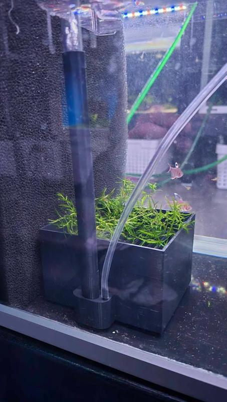 Breeding box New V2