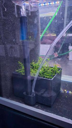 Breeding box New V2