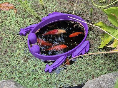 Fish Feeding Portal for Pond