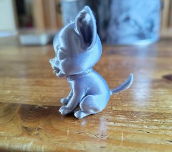 Chihuahua