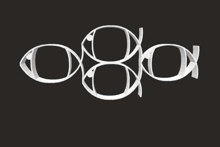 Four Fish Geometric