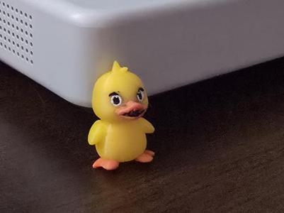 Desk duck