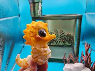 Seahorse flexi toy and aquarium bundle