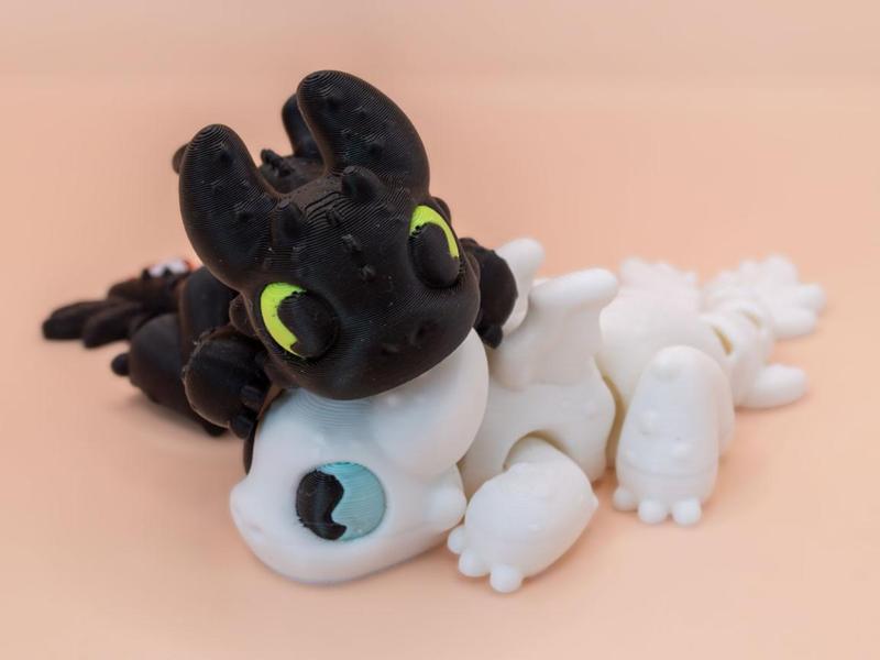 Toothless and Light Fury