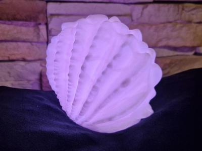 Shell lamp