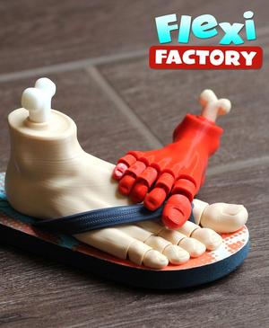 Flexi Factory Foot and Bone