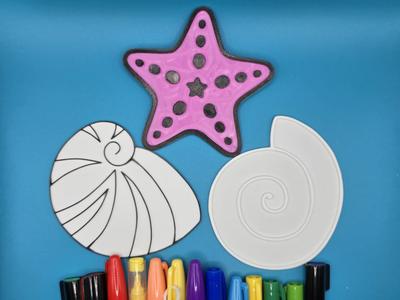 Seashells Starfish Summer Diy Coloring