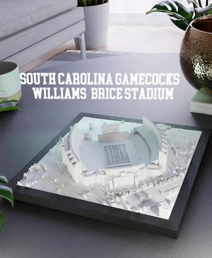 South Carolina Gamecocks - Williams-Brice Stadium