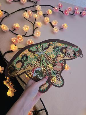 Moth Pinboard - Enamel Pin Display Board