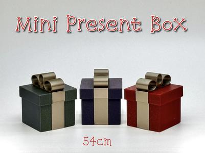 Mini Gift Box
