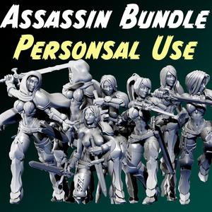 Assassins of Libris