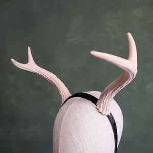 Bramble | Small Deer Antlers
