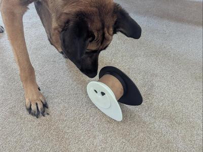 Pet/Dog Toy 