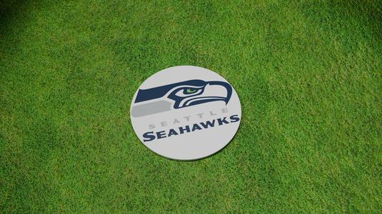 Seattle Seahawks Coaster