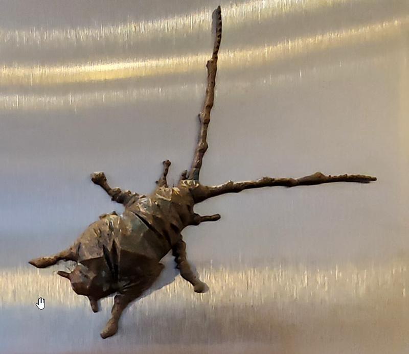 beetle2