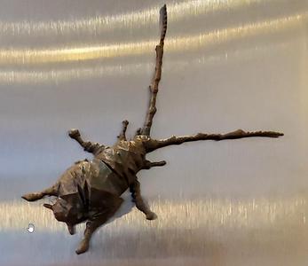 beetle2
