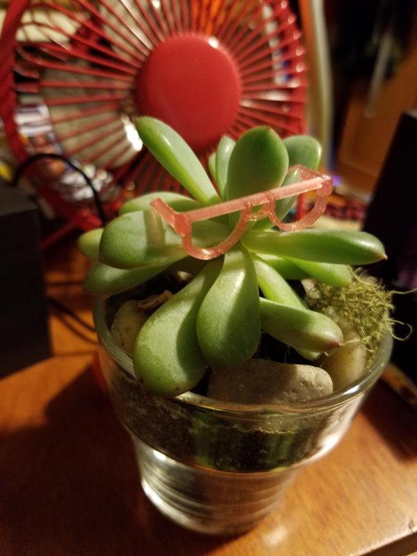 Sunglasses for plants