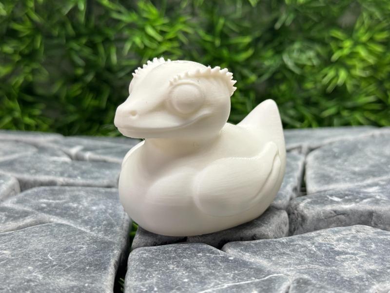 Gecko Duck