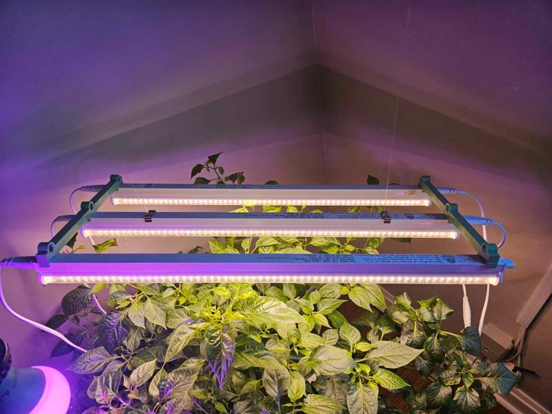 T5 Noma grow light triple bracket