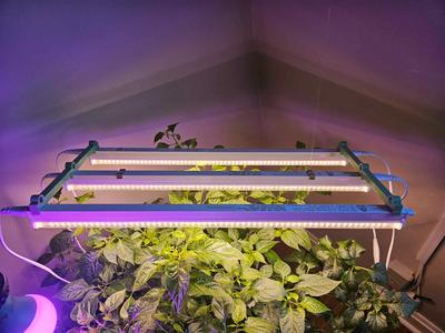 T5 Noma grow light triple bracket