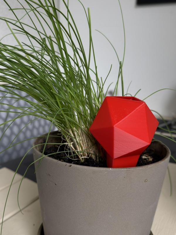 Plant Watering Icosahedron