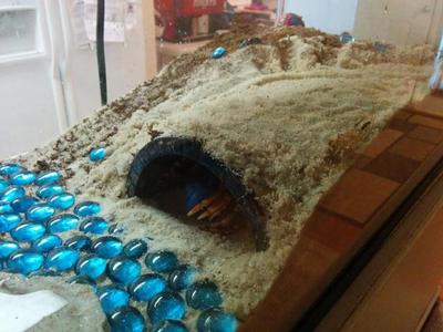 Hermit Crab Arch House