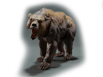 grizzly bear咆哮的熊