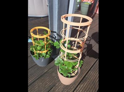 Modular Plant Holder Trellis with Snail Protection