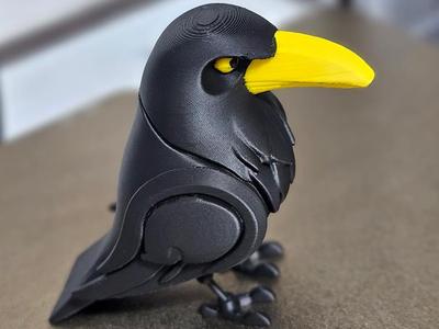 Raven