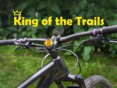 Crown Top Cap - For all bikes