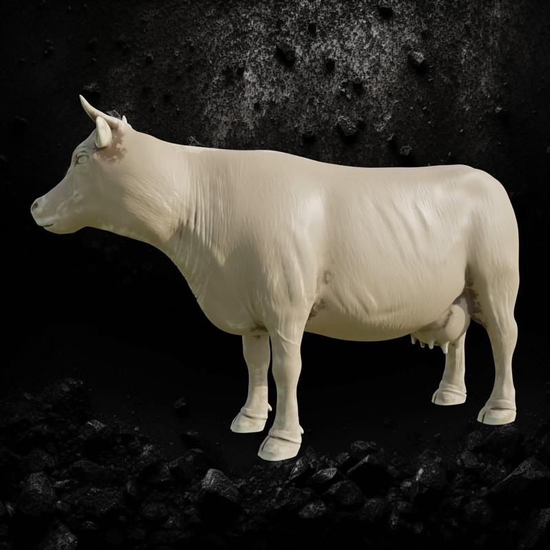 Cow
