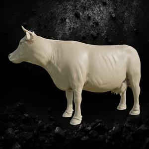 Cow